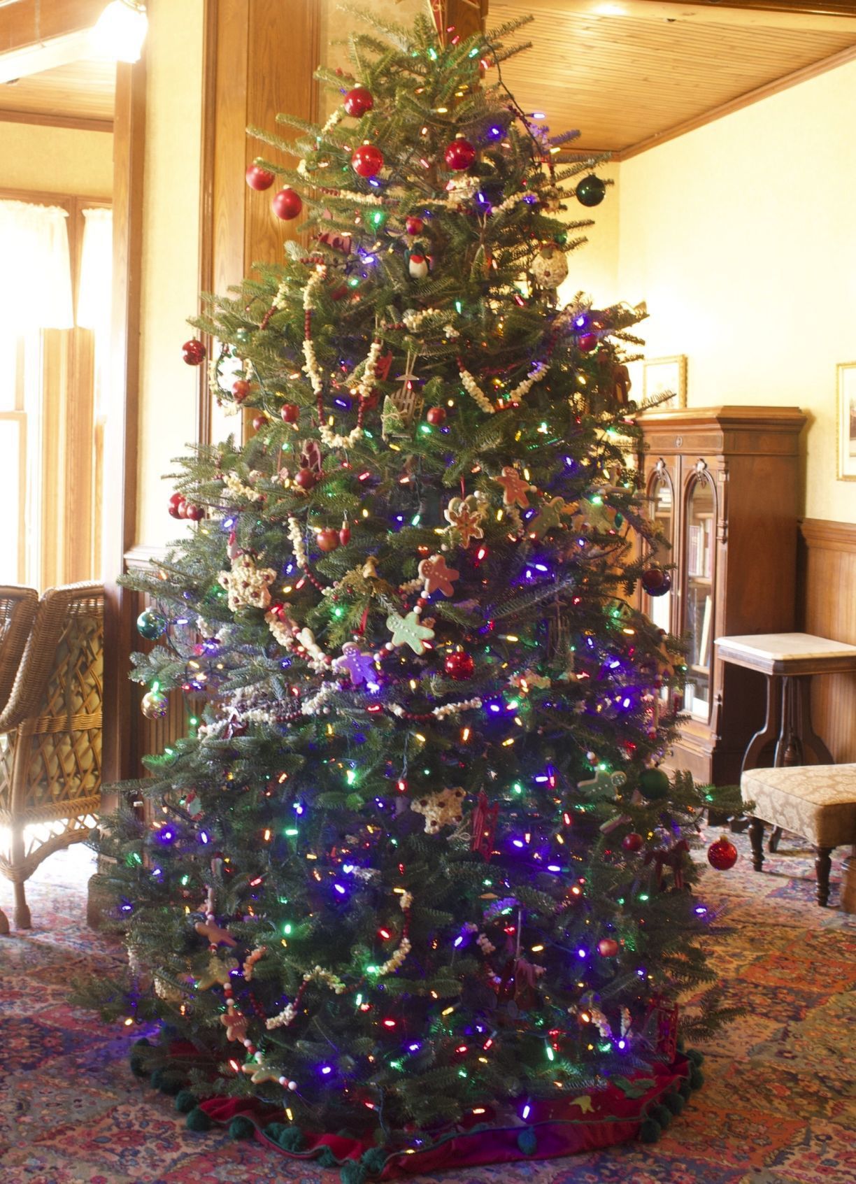 Tree